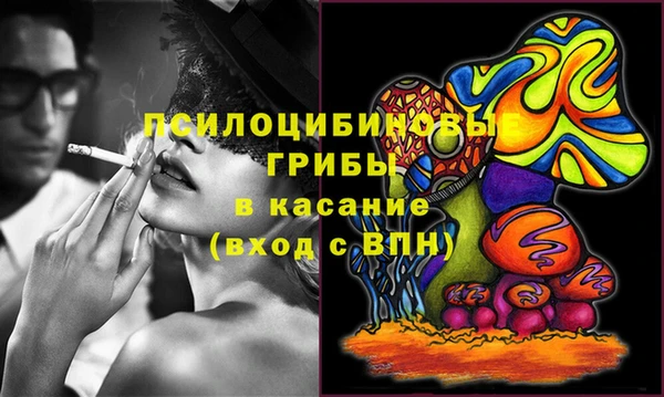 mix Бородино