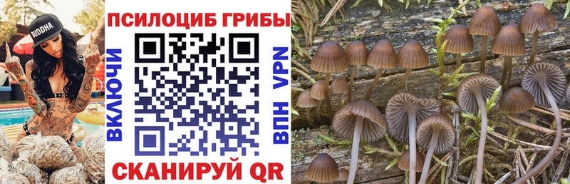 Псилоцибиновые грибы мицелий  где можно купить наркотик  Щёлково 