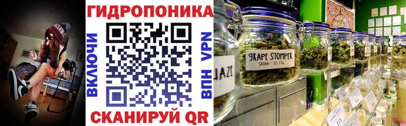 Шишки марихуана планчик  купить наркотики цена  Щёлково 
